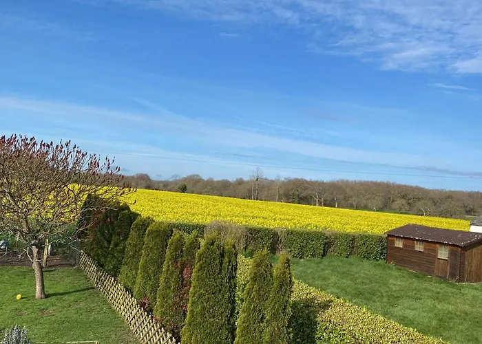 Le Gite Des Crapauds Rouges